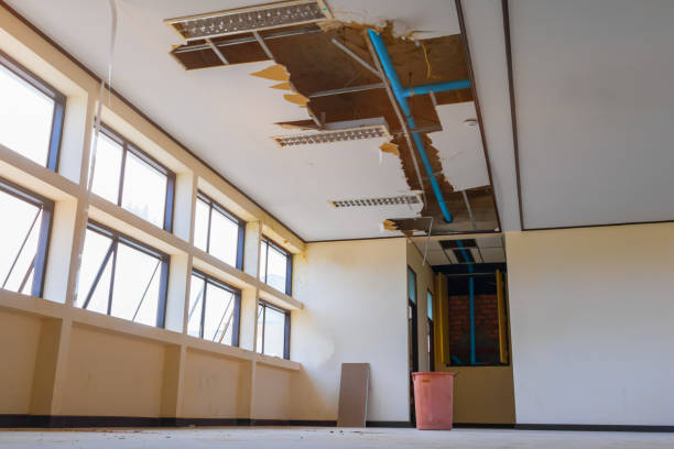 Best Mold removal after water damage  in Kemmerer, WY