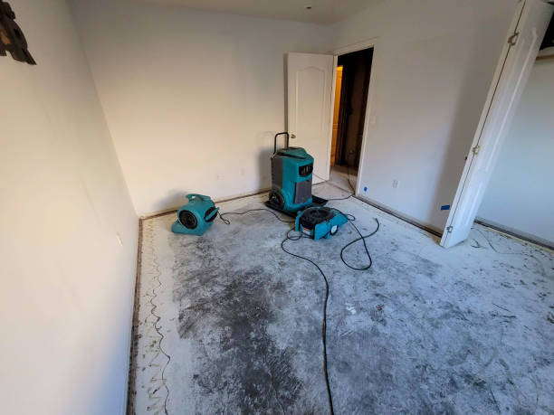 Best Mold removal after water damage  in Kemmerer, WY