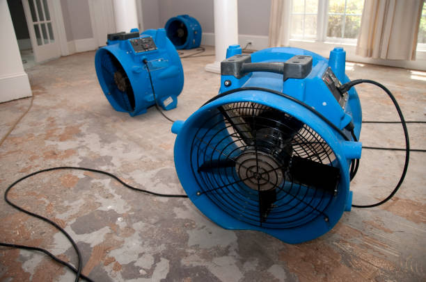 Best Water damage restoration process  in Kemmerer, WY