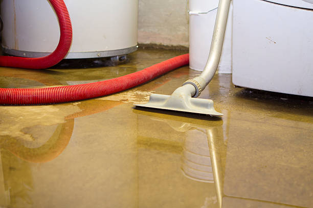 Best Ceiling water damage repair  in Kemmerer, WY