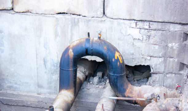 Best Mold removal after water damage  in Kemmerer, WY